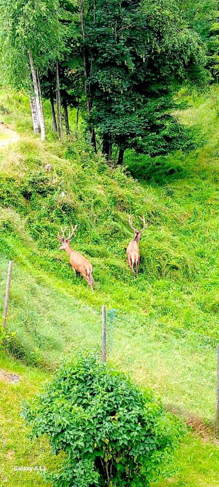 Apartmán Cascina Del Galin Lanzo dʼIntelvi Exteriér fotografie